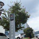 구리시 멀티스포츠센터 수영장 이미지