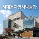 홍제매점 | 서대문자연사박물관 서울 아이와 가볼만한곳 공룡 전시 체험 방문 후기