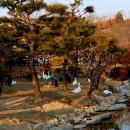 이화정원