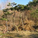 지리산농장 이미지