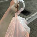 수원청과시장 노동조합 | 난 심심하면 김밥을 싸