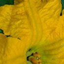 조은노래연습장 이미지