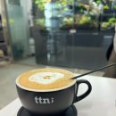 비바리움매니아 | 일산 밤리단길 비바리움 카페 🦎티티앤 커피 (feat. 두쫀쿠)