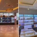 도그마루 고양이강아지 청주점 이미지