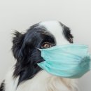 도그앤캣 동물병원 이미지