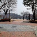 황새울2길 이미지