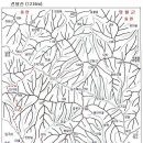 제368차, 선달산-봉황산(11월 6일) 이미지