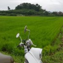 칠하농장 이미지