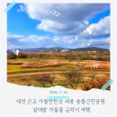 대평동_금강변길 | 세종 숲뜰근린공원 갈대밭 가을꽃 군락지 여행