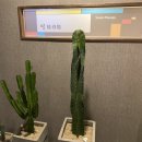 썸 당구장 이미지