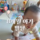 (주)기고 | [D+250] 8개월 아기 발달 총정리｜기고 앉고 서기까지 폭풍 성장 중!