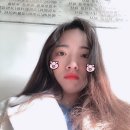 비제이여행사