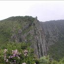 6월12-13일(1박2일)제주 한라산 철쭉꽃산행및 올레트레킹 이미지