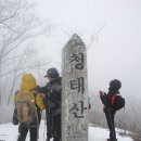 청태산 등산 1 (강원도 횡성군 둔내면과 평창군 봉평면·방림면 경계에 있는 산) 이미지