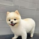 나무쉼터 동물병원 이미지