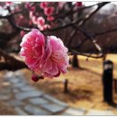 국채보상운동기념공원 이미지