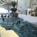 창한푸드 이미지