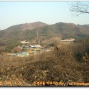 참나농장 티스토리