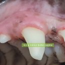 서초힐스동물병원 이미지