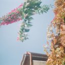 안녕하세요한의원 이미지