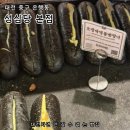 내가좋아하는 | 대전 성심당 본점 방문 후기 / 내가 좋아하는 성심당 오징어먹물방망이