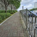 임호체육공원 이미지