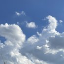 멍블랑 반려견미용실 | [ 2025년 ] 8월