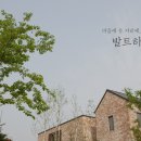 양지하우스 이미지