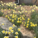 도대보건진료소 이미지