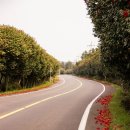 만금 2농장 이미지