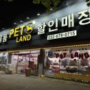 원미구 도약로 239 | 부천 강아지 유모차 매장 펫랜드, 로얄테일즈 글로리아 스탠다드 시승 후기