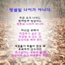 라라체험샵