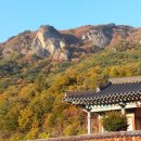 예천상사 Daum카페