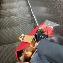 지선한의원 | 26년 3월 | 한 페이지가 될 수 있게 🌱