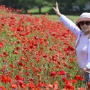 탑골농장 이미지