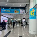 라떼펫살롱 | 2024 대구펫쇼 후기 : 부산펫페어 이어 대구까지