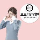 모도리안경원 이미지