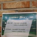 스킬업