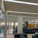 쉬즈메디병원 | 임신 준비 간수치 비상...쉬즈메디병원 내과 2개월 진료 후기