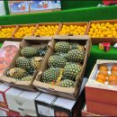 만나청과 이미지