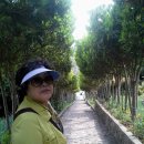 동승회센타 이미지