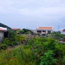 춘자민박 이미지