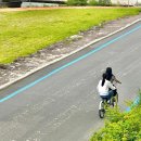 곡성-247 이미지