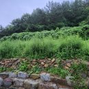 남해-160 이미지