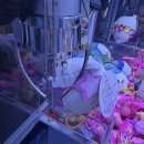 빙고PC | [공지] 우리는 그 순간의 낭만으로 영원을 살아갑니다.