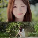 브로스 프로젝트
