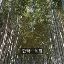 수목원 | 제주 도심 속 초록 쉼터, 한라수목원 산책 후기 5월제주여행추천