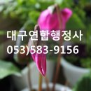 김덕수 행정사사무소 이미지