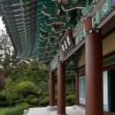 수양산 펜션 | ♬ 고성 당항포관광지