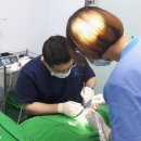 이편한우리치과의원 이미지